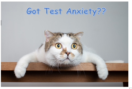 Got Test Anxiety