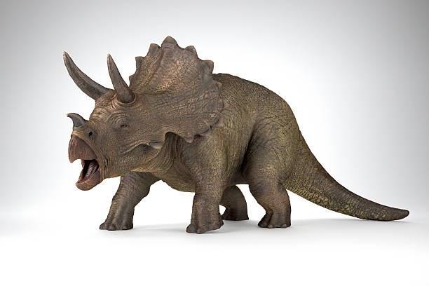 MCL’s Favorite Dinosaur