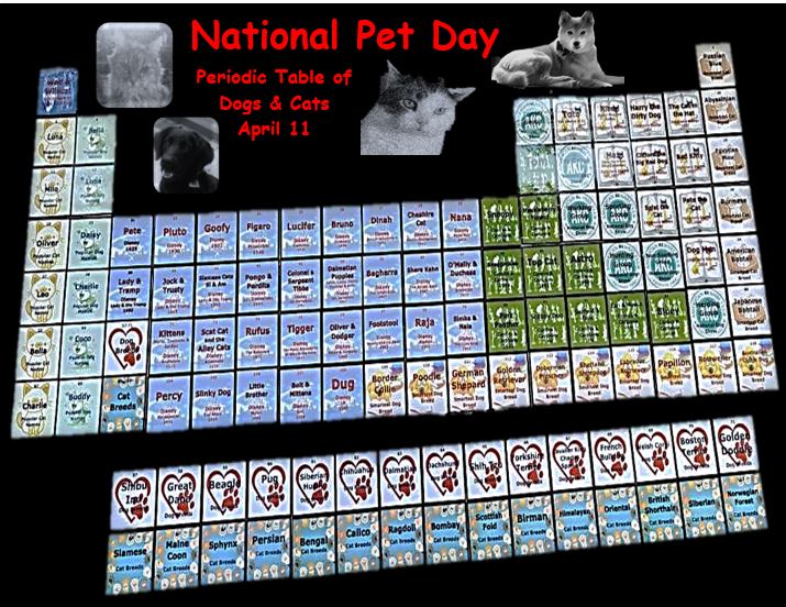 periodic table of dogs and cats