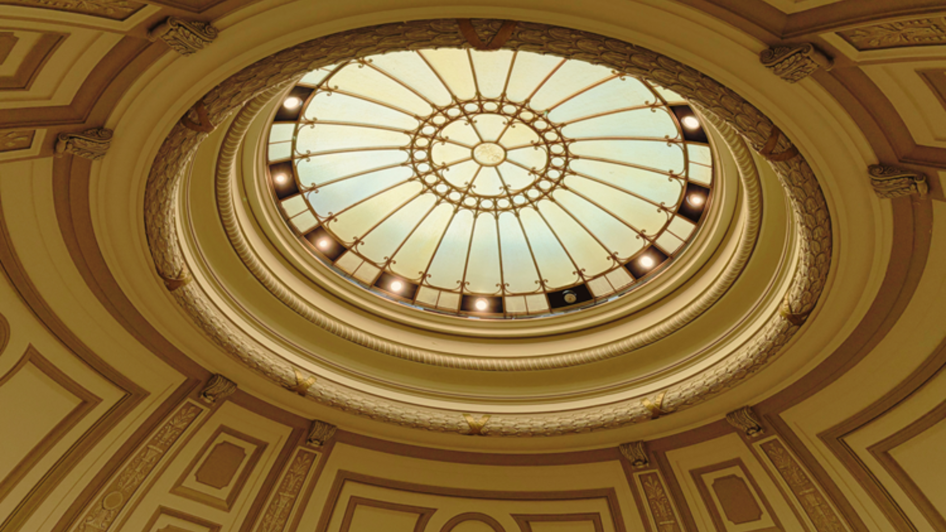 the library skylight